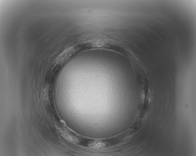 X0000085810217200703301534