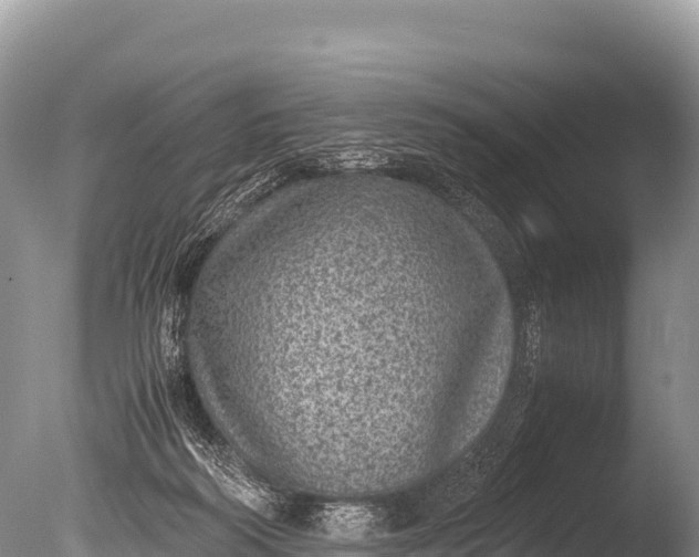 X0000085810218200703301534