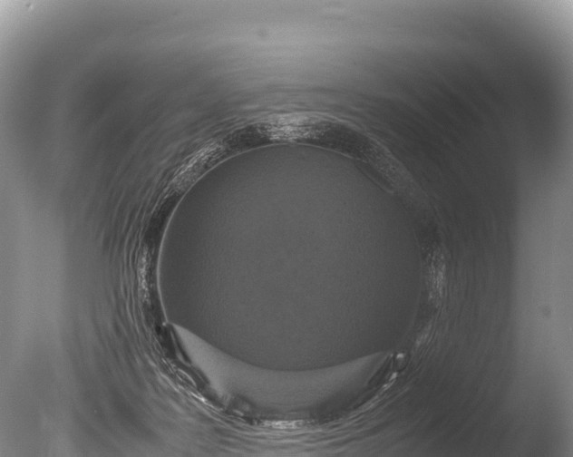 X0000085810219200703301534