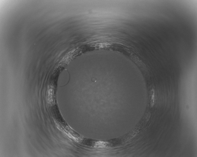 X0000085810222200703301534