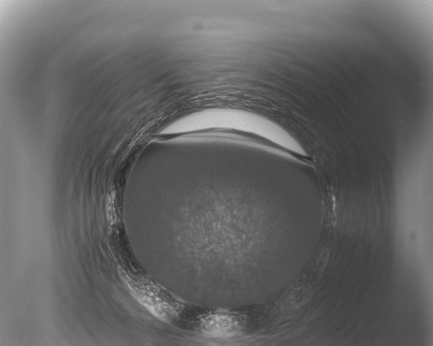 X0000085810224200703301534