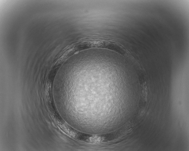 X0000085810225200703301534