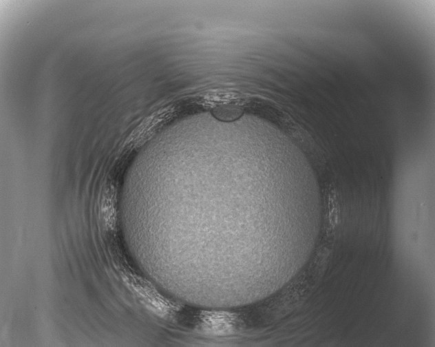 X0000085810226200703301534