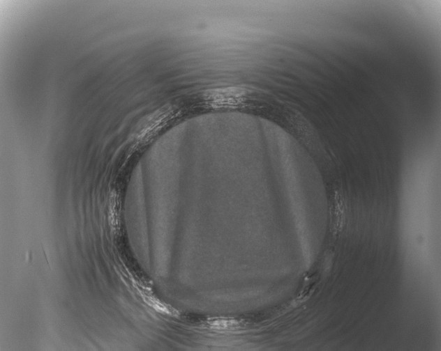 X0000085810228200703301534