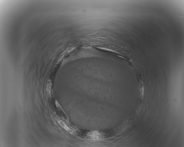 X0000085810231200703301534