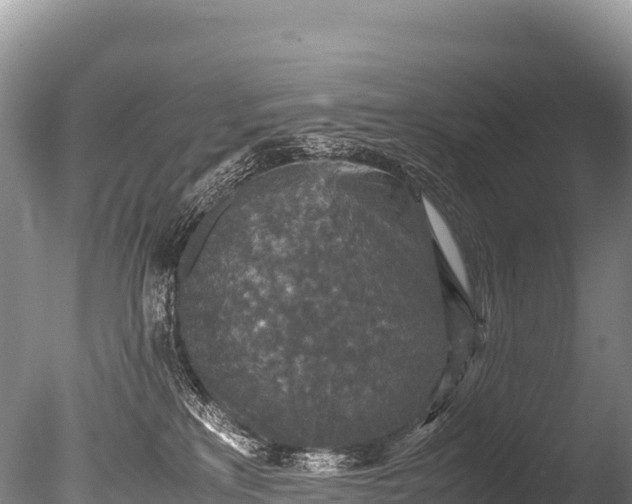 X0000085810233200703301533