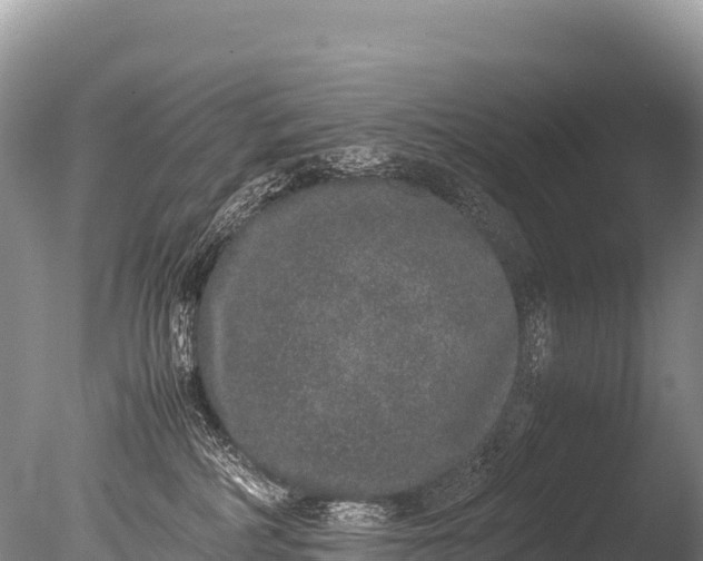 X0000085810234200703301533