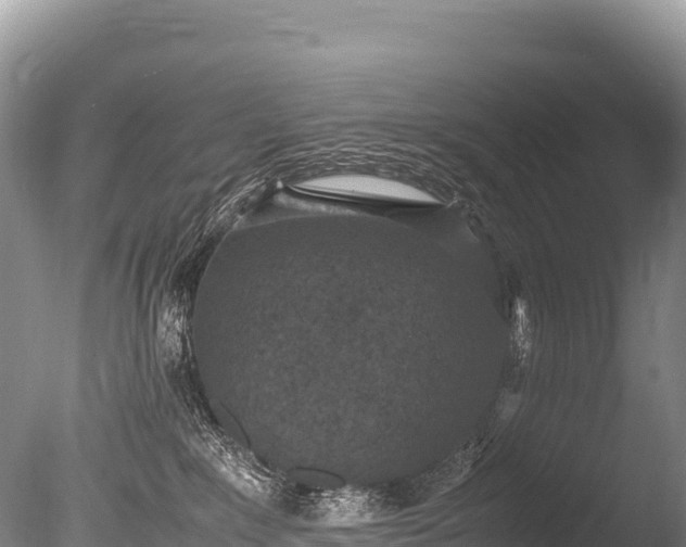 X0000085810235200703301533