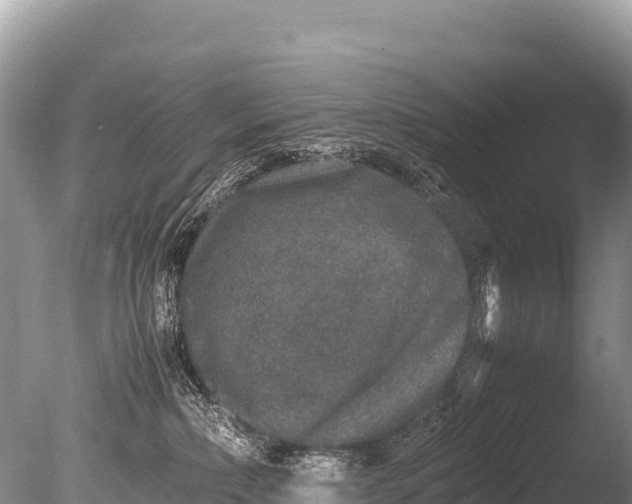 X0000085810236200703301533