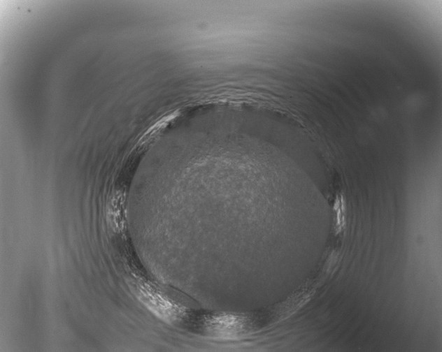 X0000085810237200703301533