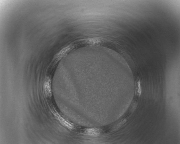 X0000085810238200703301533