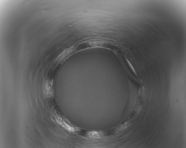 X0000085810239200703301533