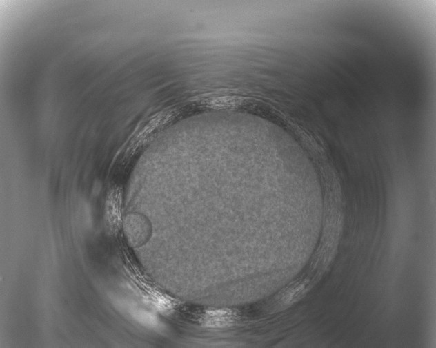 X0000085810240200703301533