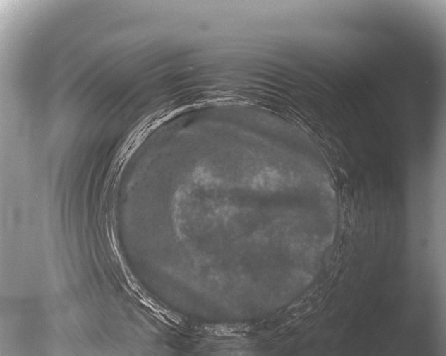 X0000085810241200703301533