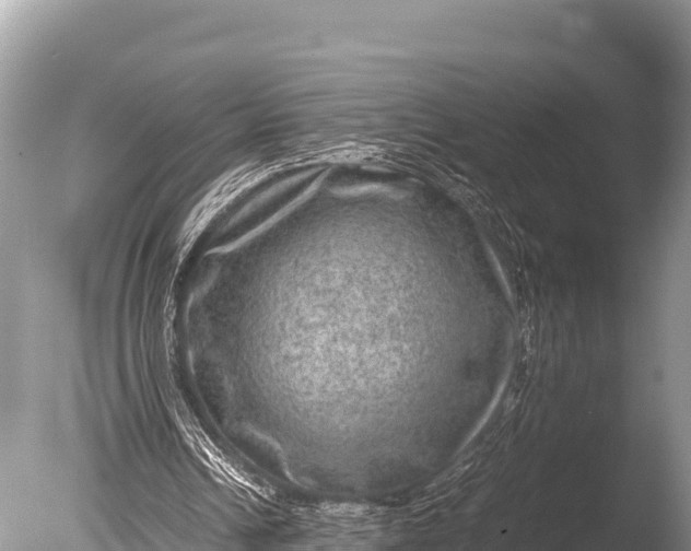 X0000085810242200703301533