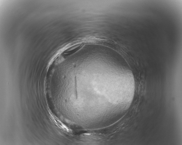 X0000085810244200703301533