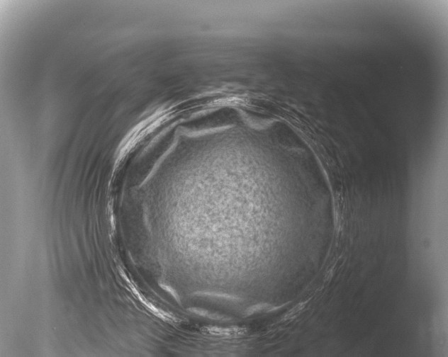 X0000085810245200703301533