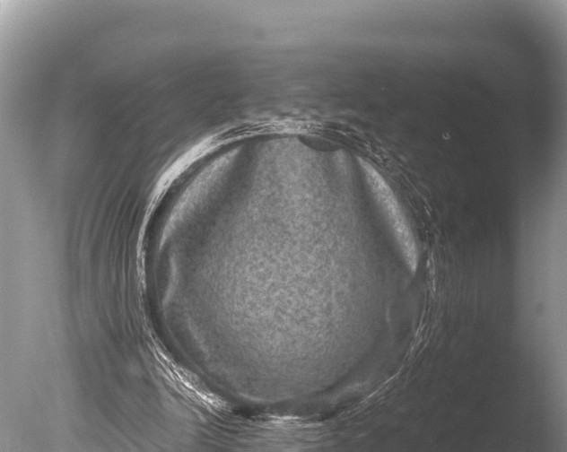 X0000085810246200703301533