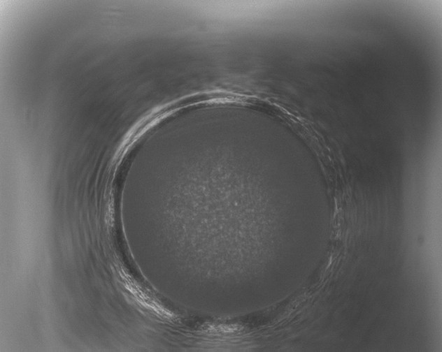 X0000085810247200703301533