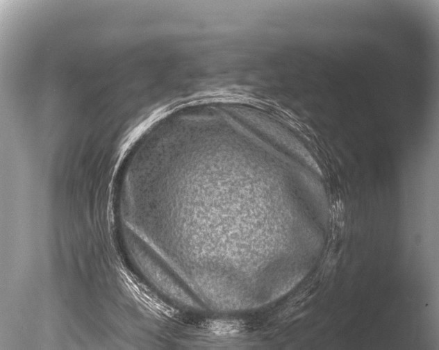 X0000085810248200703301533