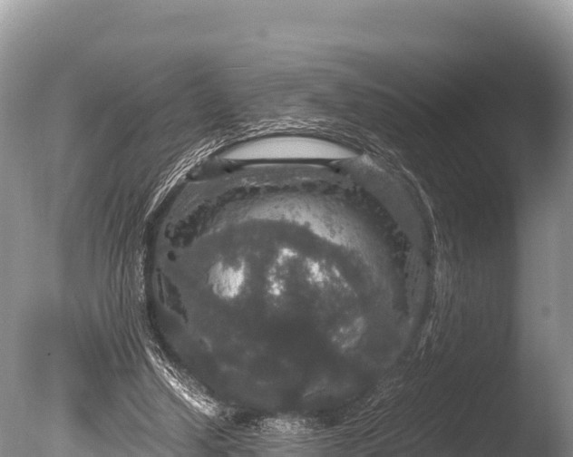 X0000085810250200703301533