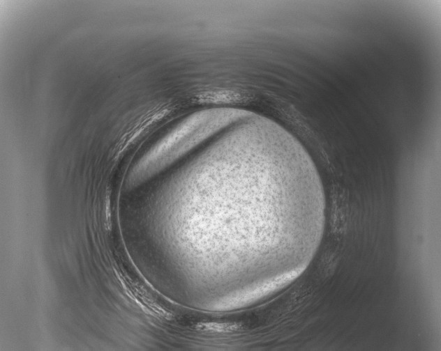 X0000085810251200703301533