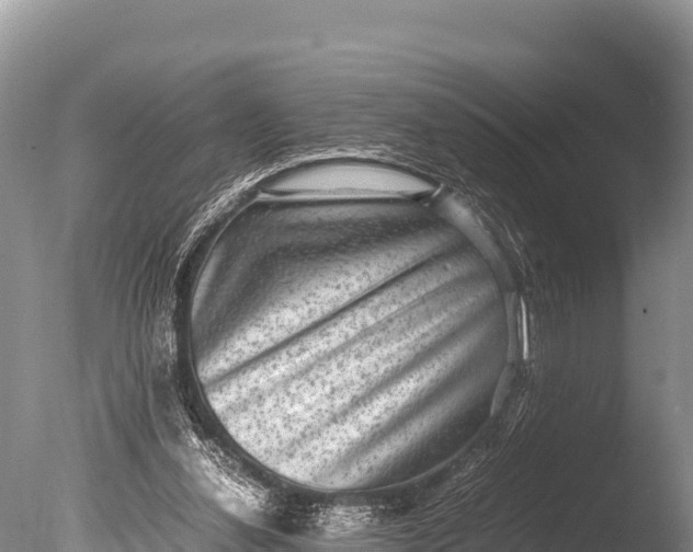 X0000085810252200703301533