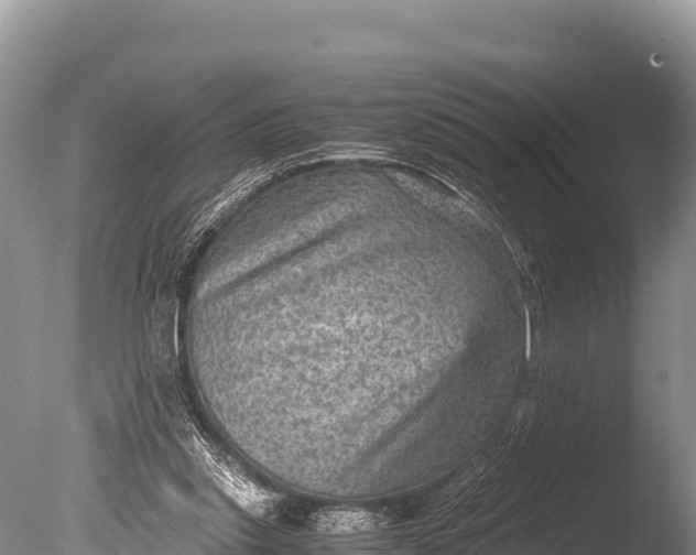 X0000085810253200703301533