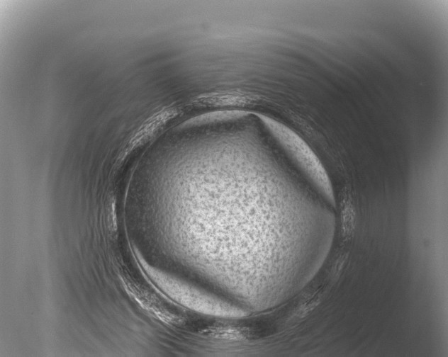 X0000085810254200703301533