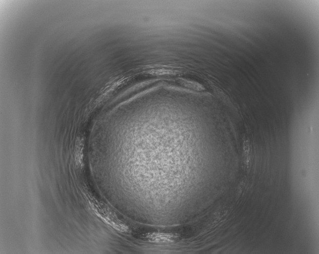 X0000085810255200703301533