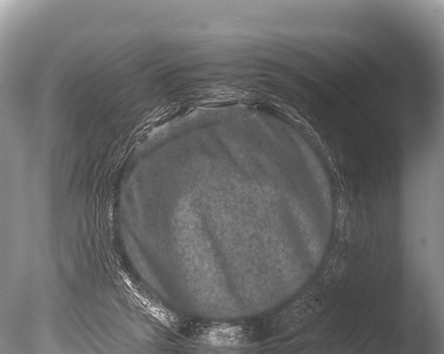 X0000085810257200703301533