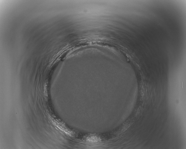 X0000085810258200703301533