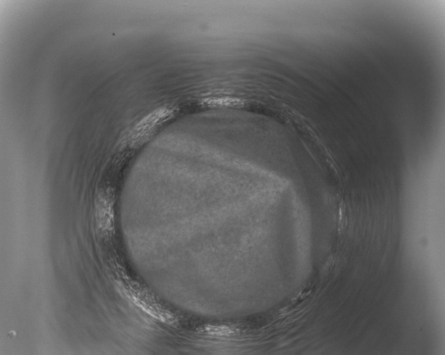 X0000085810259200703301533