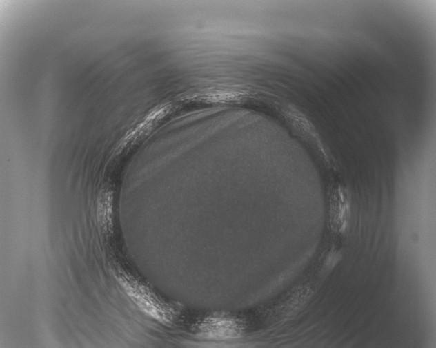 X0000085810260200703301533