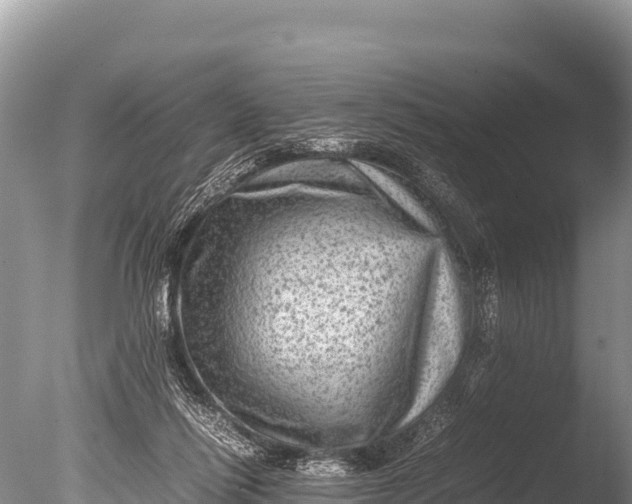 X0000085810262200703301533