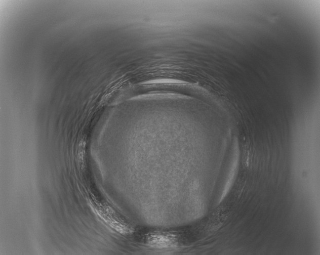 X0000085810263200703301533