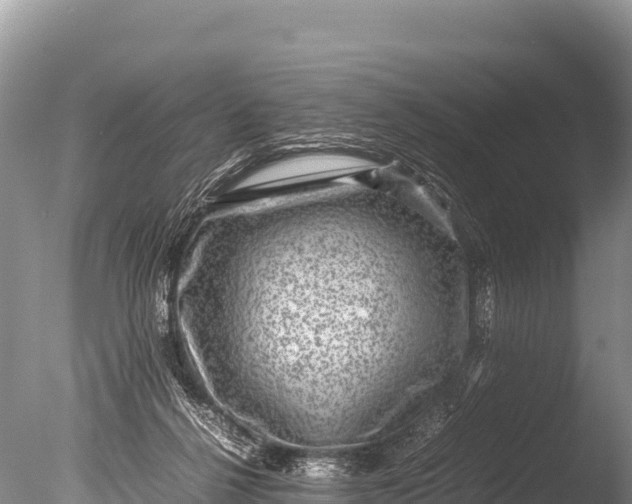 X0000085810264200703301533