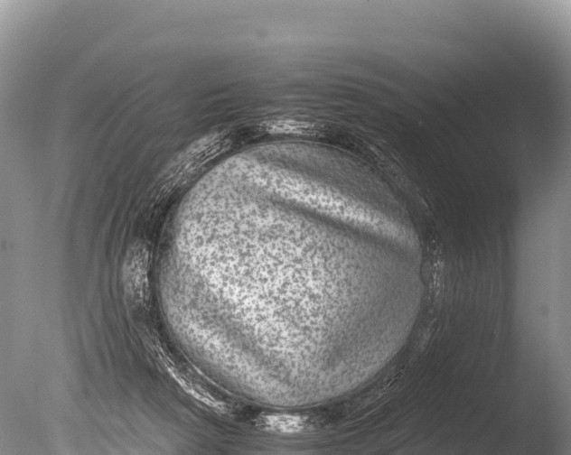 X0000085810265200703301533