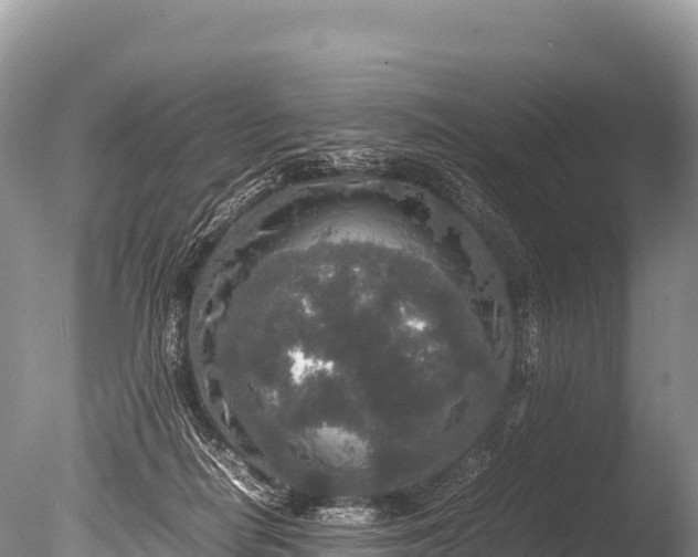 X0000085810266200703301533