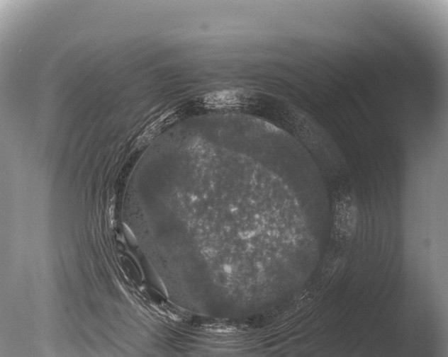 X0000085810267200703301533