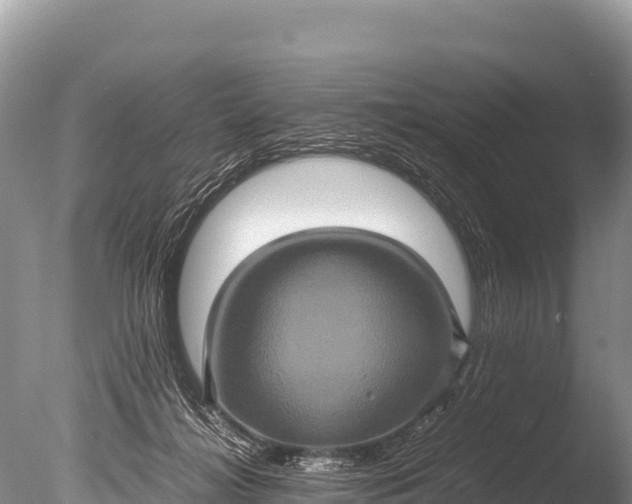 X0000085810268200703301533