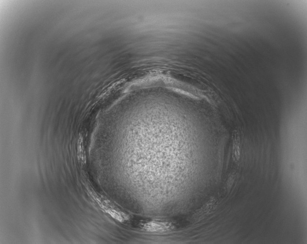 X0000085810270200703301533