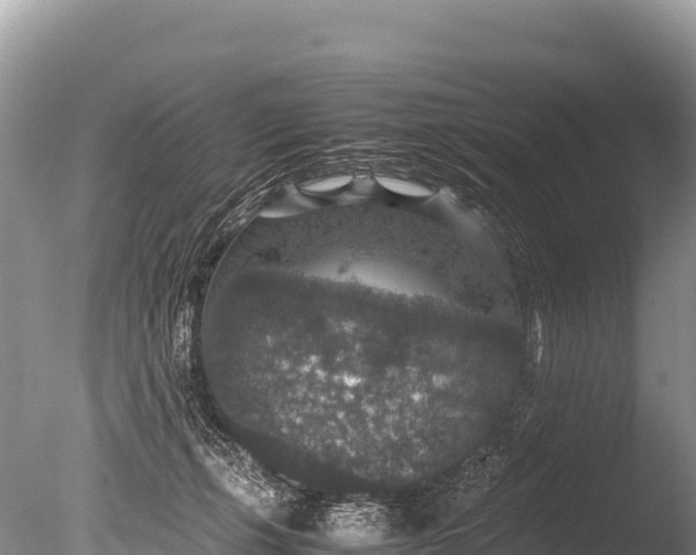 X0000085810271200703301533