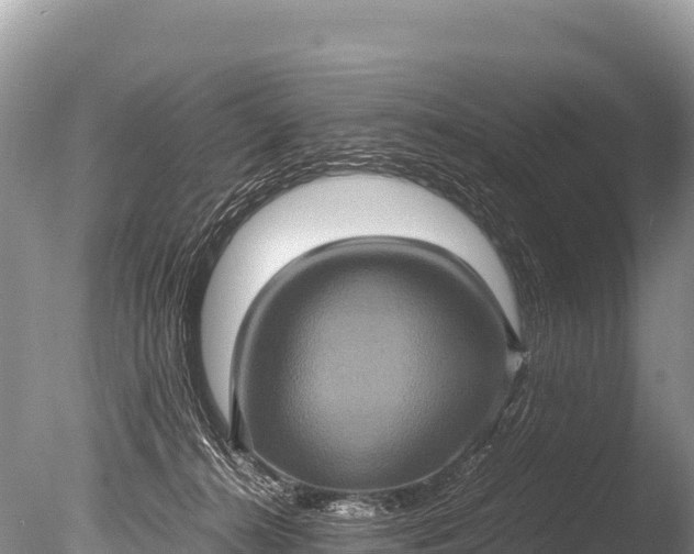 X0000085810272200703301533