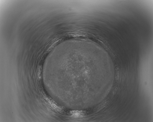 X0000085810273200703301533