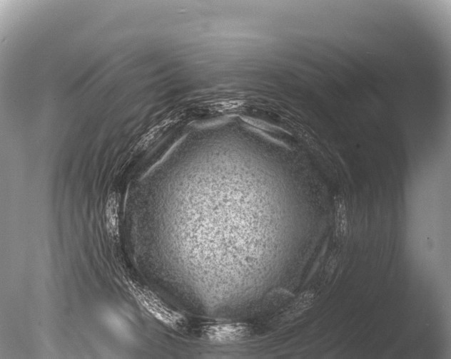 X0000085810274200703301533