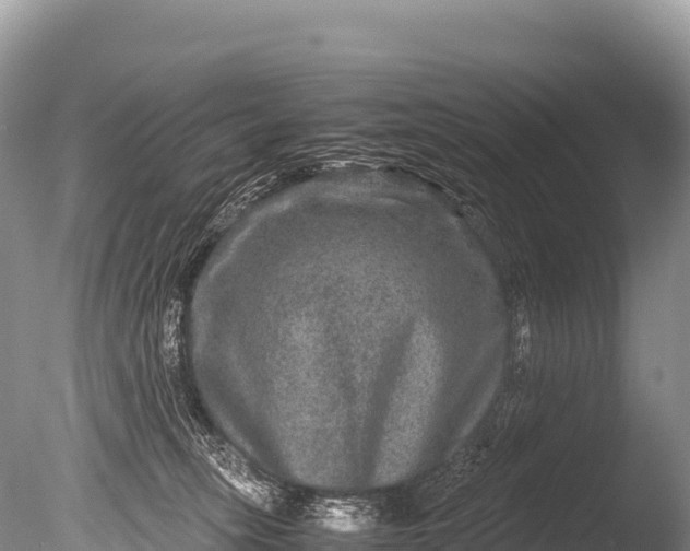 X0000085810275200703301533