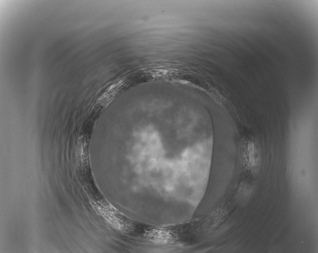 X0000085810276200703301533