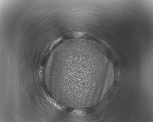 X0000085810280200703301533