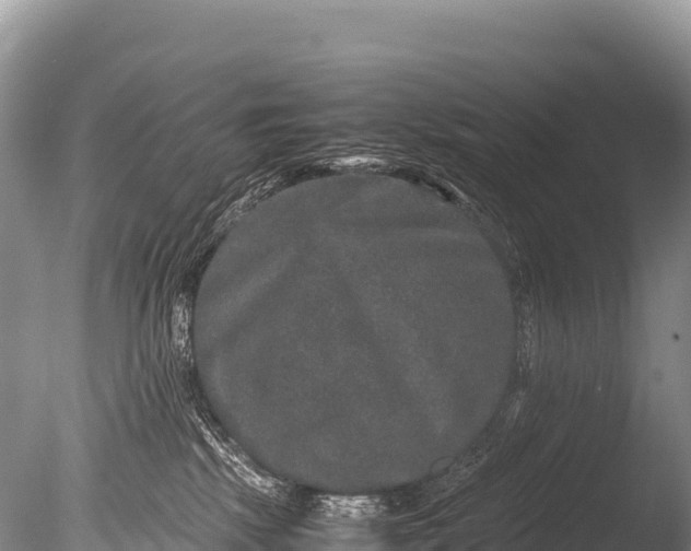 X0000085810281200703301533